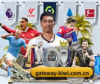 gateway-kiwi.com.cn APP